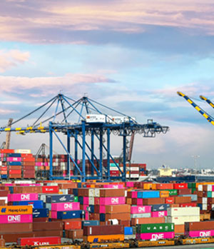 Procurement in China